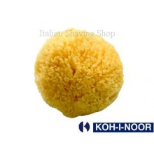 Natural Sea Sponge