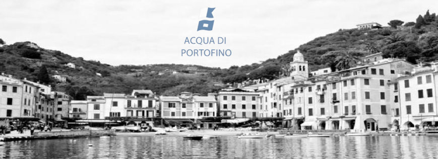 Banner Acqua di Portofino